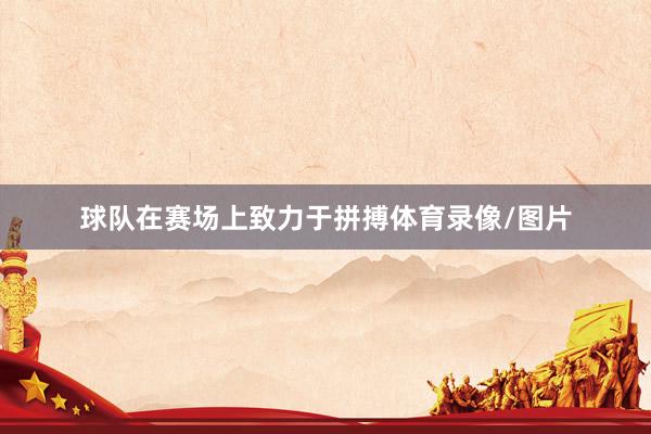 球队在赛场上致力于拼搏体育录像/图片