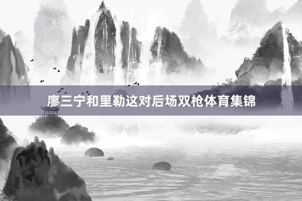 廖三宁和里勒这对后场双枪体育集锦