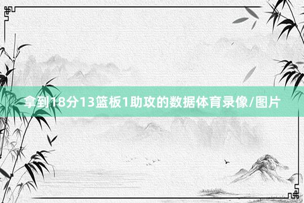 拿到18分13篮板1助攻的数据体育录像/图片