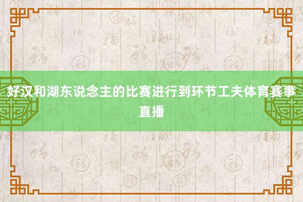 好汉和湖东说念主的比赛进行到环节工夫体育赛事直播