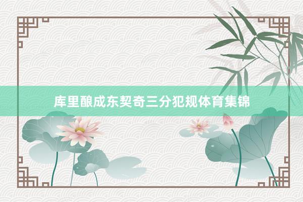 库里酿成东契奇三分犯规体育集锦