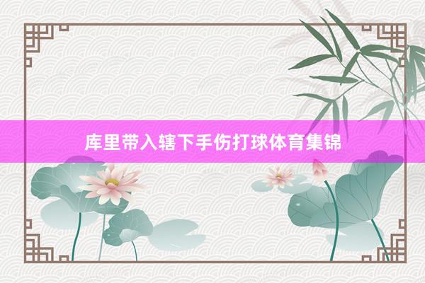 库里带入辖下手伤打球体育集锦