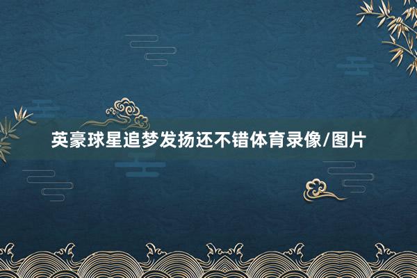 英豪球星追梦发扬还不错体育录像/图片