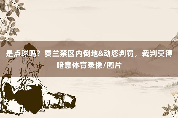 是点球吗？费兰禁区内倒地&动怒判罚，裁判莫得暗意体育录像/图片