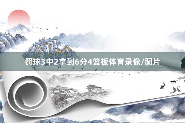 罚球3中2拿到6分4篮板体育录像/图片
