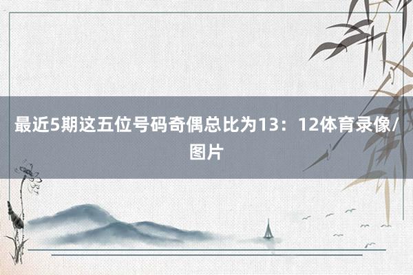 最近5期这五位号码奇偶总比为13：12体育录像/图片