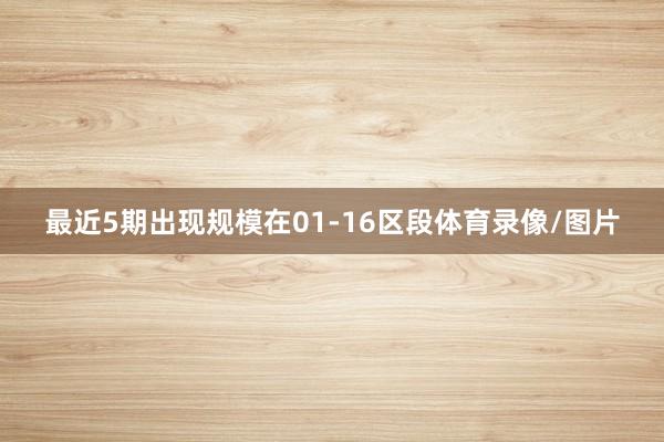 最近5期出现规模在01-16区段体育录像/图片