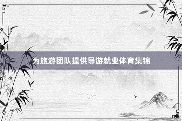 为旅游团队提供导游就业体育集锦