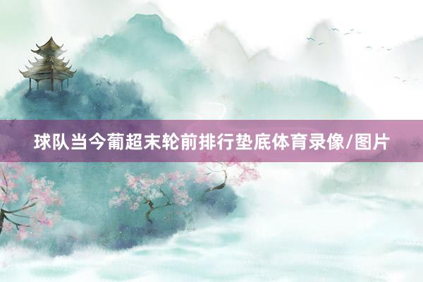 球队当今葡超末轮前排行垫底体育录像/图片