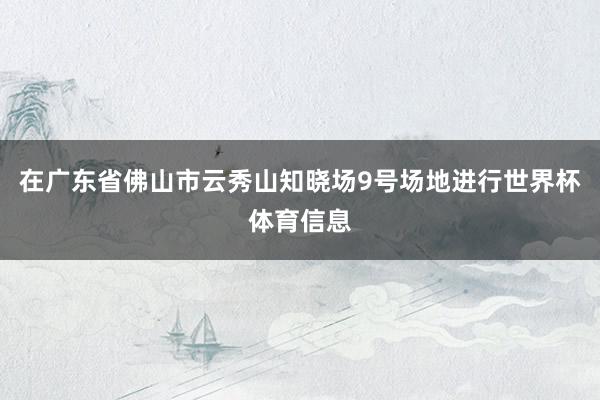 在广东省佛山市云秀山知晓场9号场地进行世界杯体育信息