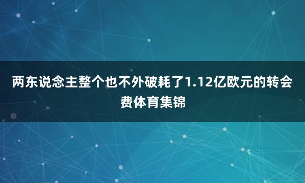 两东说念主整个也不外破耗了1.12亿欧元的转会费体育集锦