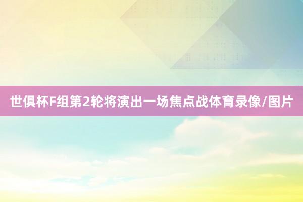 世俱杯F组第2轮将演出一场焦点战体育录像/图片
