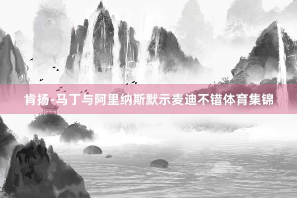 肯扬-马丁与阿里纳斯默示麦迪不错体育集锦