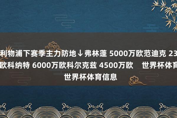 利物浦下赛季主力防地↓弗林蓬 5000万欧范迪克 2300万欧科纳特 6000万欧科尔克兹 4500万欧    世界杯体育信息