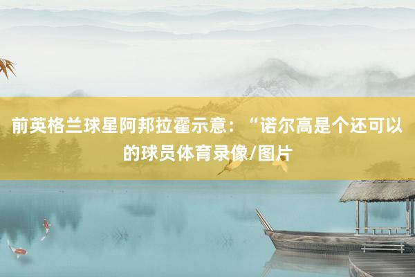 前英格兰球星阿邦拉霍示意:“诺尔高是个还可以的球员体育录像/图片
