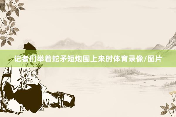 记者们举着蛇矛短炮围上来时体育录像/图片