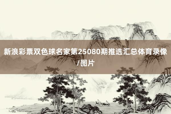 新浪彩票双色球名家第25080期推选汇总体育录像/图片