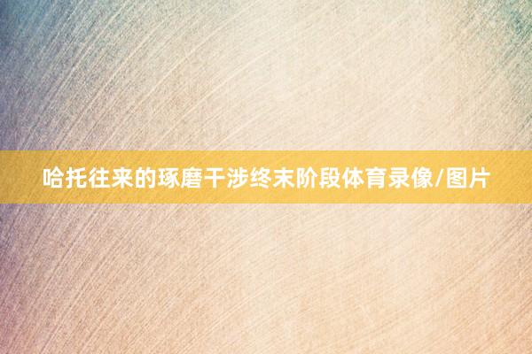 哈托往来的琢磨干涉终末阶段体育录像/图片