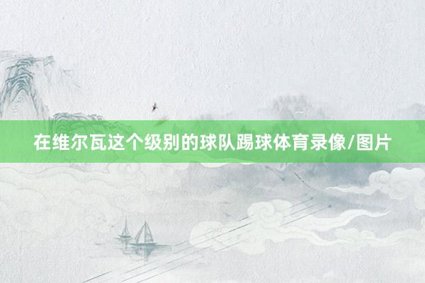 在维尔瓦这个级别的球队踢球体育录像/图片