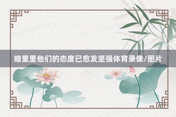暗里里他们的态度已愈发坚强体育录像/图片
