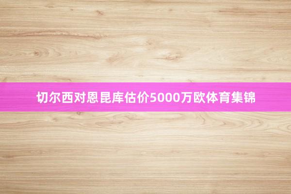 切尔西对恩昆库估价5000万欧体育集锦