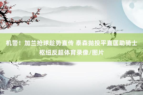 机警！加兰抢球趁势直传 泰森抛投平直匡助骑士枢纽反超体育录像/图片