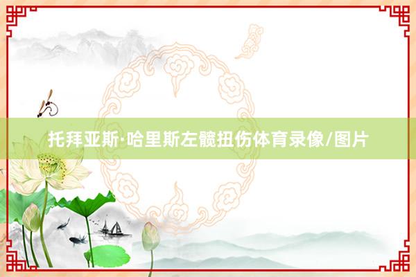 托拜亚斯·哈里斯左髋扭伤体育录像/图片