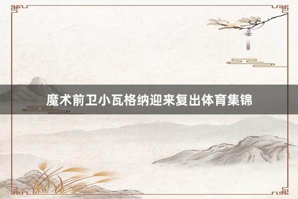 魔术前卫小瓦格纳迎来复出体育集锦