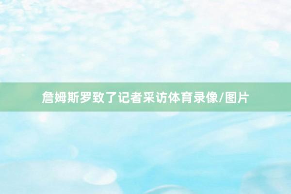 詹姆斯罗致了记者采访体育录像/图片