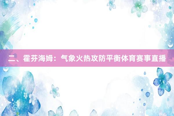 二、霍芬海姆：气象火热攻防平衡体育赛事直播