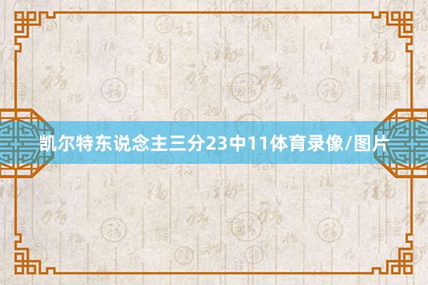 凯尔特东说念主三分23中11体育录像/图片