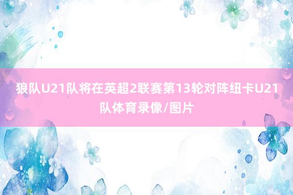 狼队U21队将在英超2联赛第13轮对阵纽卡U21队体育录像/图片