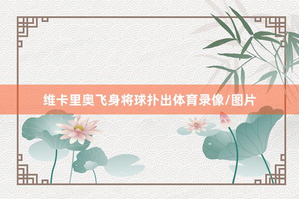 维卡里奥飞身将球扑出体育录像/图片