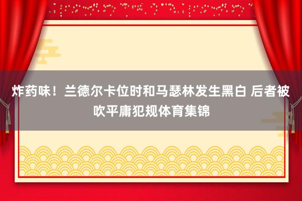 炸药味！兰德尔卡位时和马瑟林发生黑白 后者被吹平庸犯规体育集锦