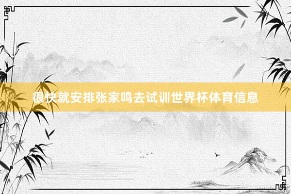 很快就安排张家鸣去试训世界杯体育信息