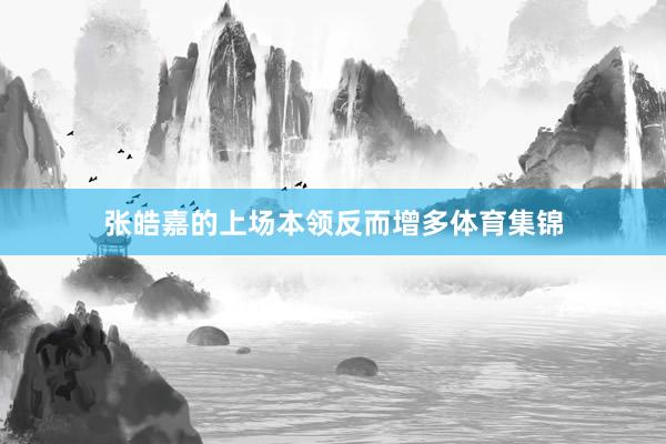 张皓嘉的上场本领反而增多体育集锦