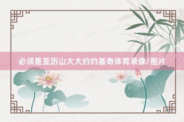 必须是亚历山大大约约基奇体育录像/图片