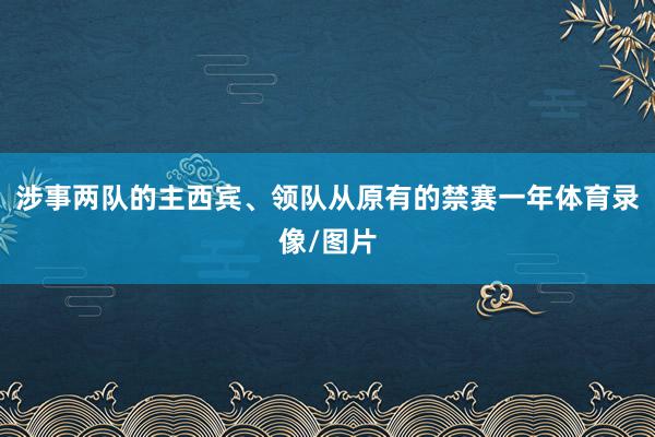 涉事两队的主西宾、领队从原有的禁赛一年体育录像/图片