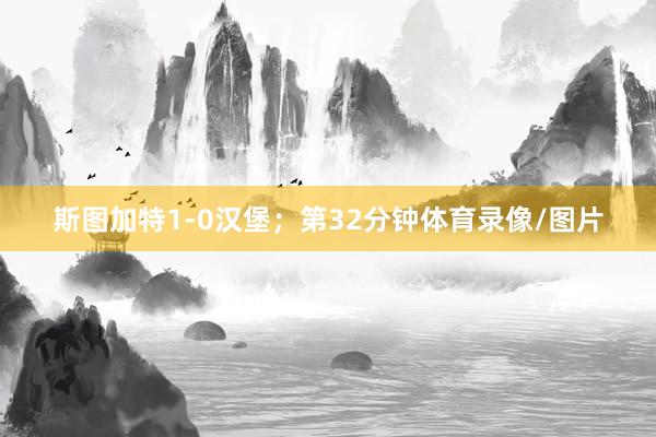 斯图加特1-0汉堡；第32分钟体育录像/图片