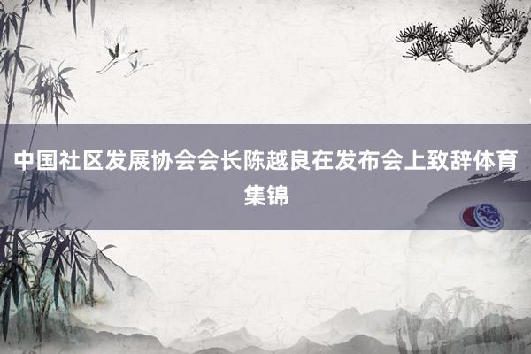 中国社区发展协会会长陈越良在发布会上致辞体育集锦