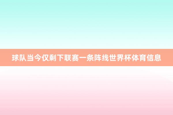 球队当今仅剩下联赛一条阵线世界杯体育信息