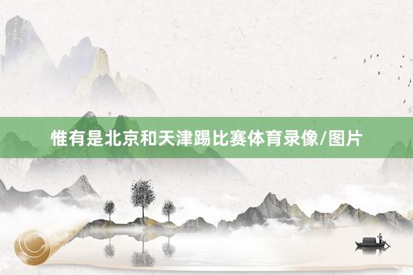 惟有是北京和天津踢比赛体育录像/图片