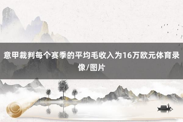 意甲裁判每个赛季的平均毛收入为16万欧元体育录像/图片