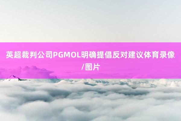 英超裁判公司PGMOL明确提倡反对建议体育录像/图片