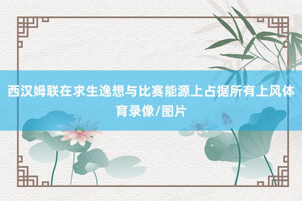 西汉姆联在求生逸想与比赛能源上占据所有上风体育录像/图片