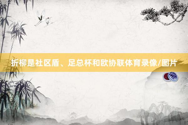 折柳是社区盾、足总杯和欧协联体育录像/图片