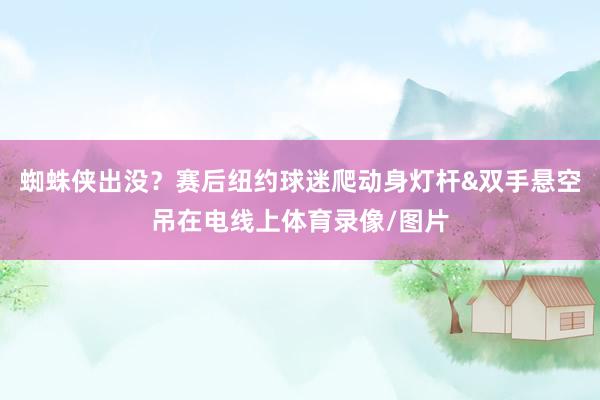 蜘蛛侠出没？赛后纽约球迷爬动身灯杆&双手悬空吊在电线上体育录像/图片