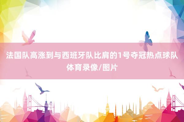 法国队高涨到与西班牙队比肩的1号夺冠热点球队体育录像/图片