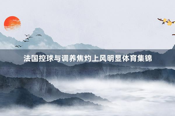 法国控球与调养焦灼上风明显体育集锦