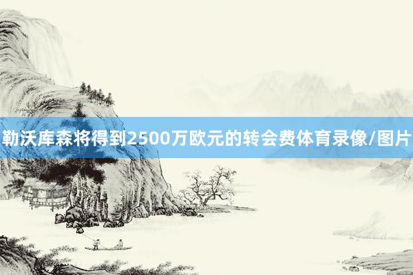 勒沃库森将得到2500万欧元的转会费体育录像/图片
